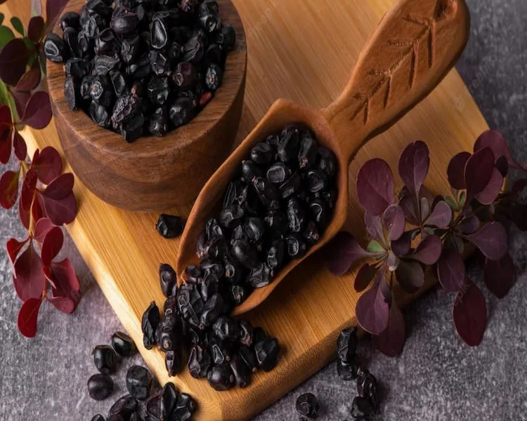 زرشک سیاه کوهی + قیمت خرید، کاربرد، مصارف و خواص