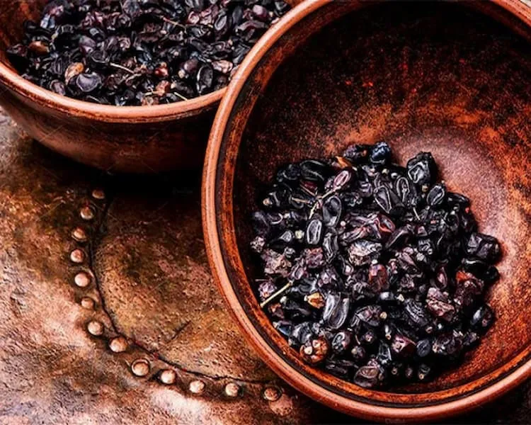 زرشک سیاه کوهی + قیمت خرید، کاربرد، مصارف و خواص